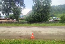 Фото Госавтоинспекции