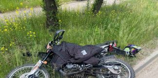 Фото Госавтоинспекции