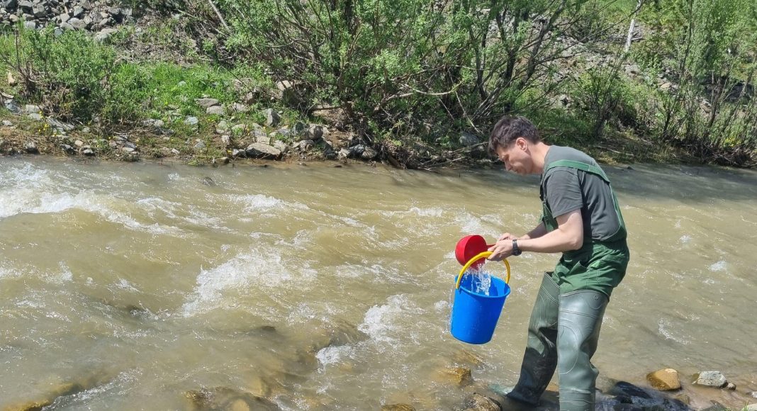 Фото из телеграм-канала Минприроды РХ