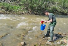 Фото из телеграм-канала Минприроды РХ