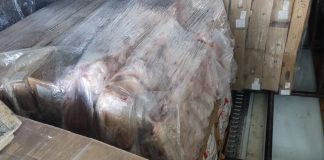 Фото предоставлено пресс-службой Россельхознадзора