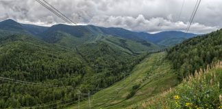Фото предоставлено пресс-службой «Россети Сибирь»