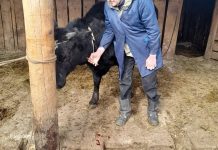 Фото пресс-службы Минсельхоза РХ