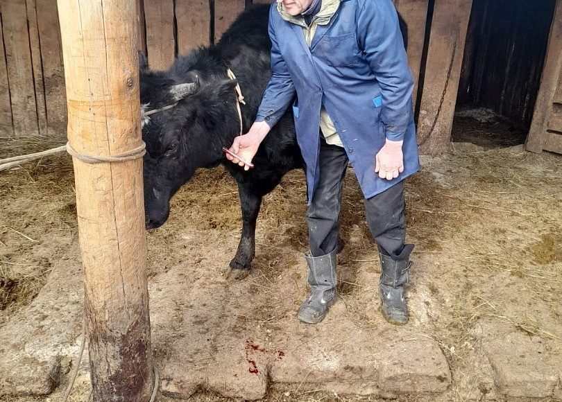 Фото пресс-службы Минсельхоза РХ