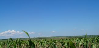 Фото со страницы Минсельхоза РХ
