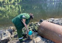 Фото телеграм-канала Минприроды РХ