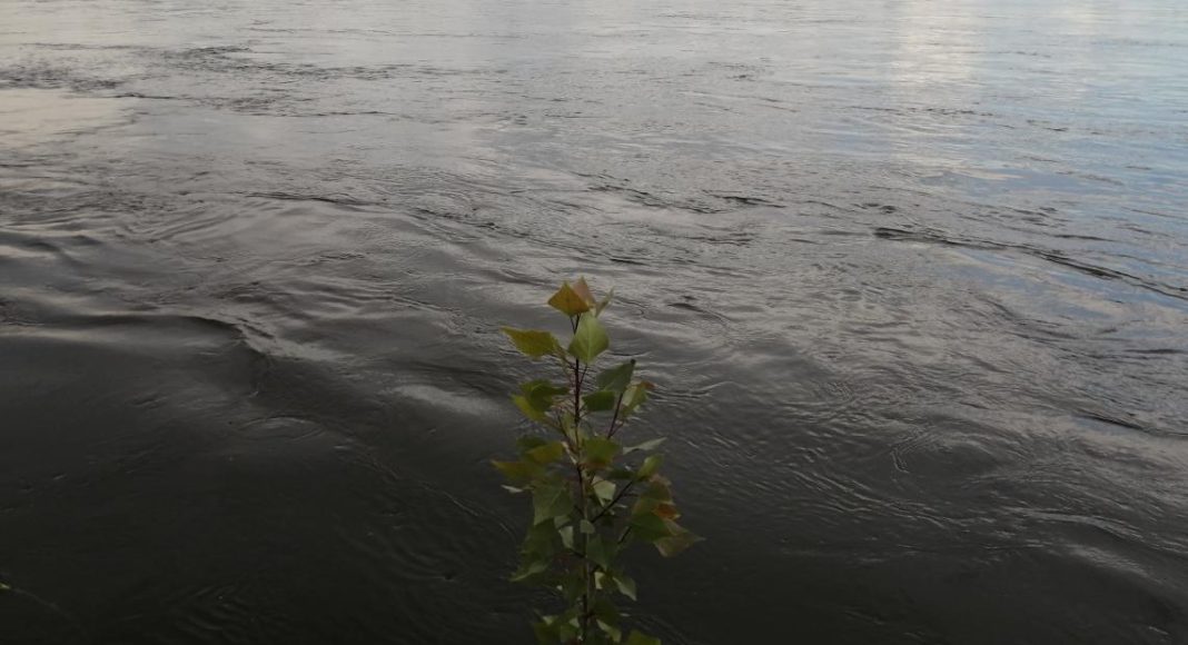 Фото: Абакан.рф Фото: Абакан.рф