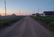 Фото Госавтоинспекции