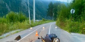 Фото Госавтоинспекции