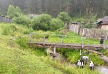 Фото Госавтоинспекции