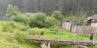 Фото Госавтоинспекции
