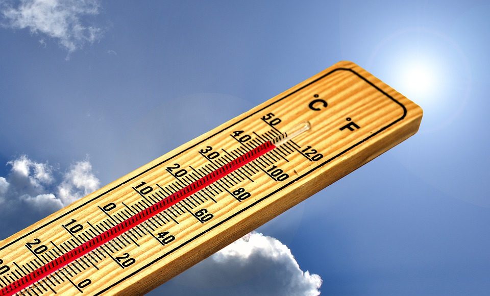 Погода, жара