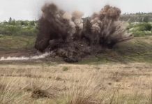 Фото из телеграм-канала Минприроды РХ