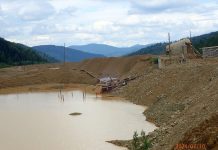 Фото из телеграм-канала Росприроднадзора РФ