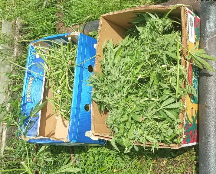 Фото МВД Фото МВД