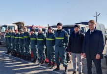 Фото предоставлено пресс-службой Минлеса РХ