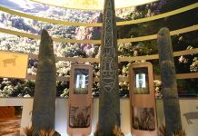 Фото со страницы главы РХ