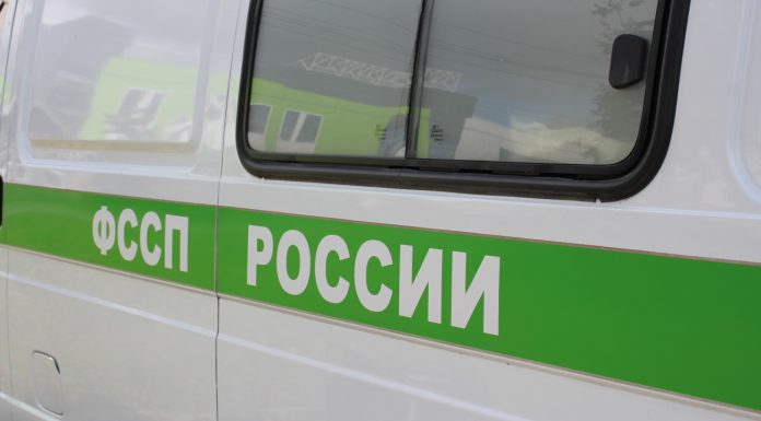 В колонию за неуплату алиментов отправили женщину из Саяногорска Судебные приставы. Фото предоставлено УФССП РФ по РХ
