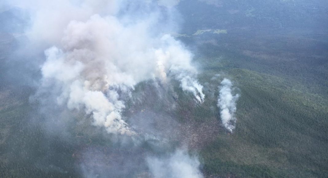 Фото предоставлено пресс-службой Минлеса РХ