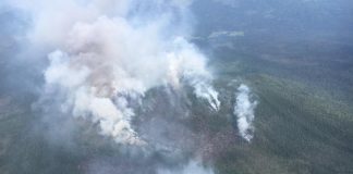 Фото предоставлено пресс-службой Минлеса РХ