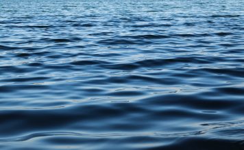 В Хакасии официально открыто пять пляжей Вода