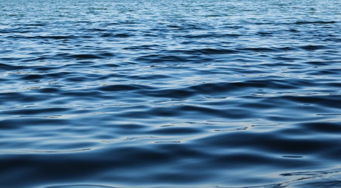 В Хакасии официально открыто пять пляжей Вода