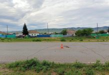 Фото Госавтоинспекции