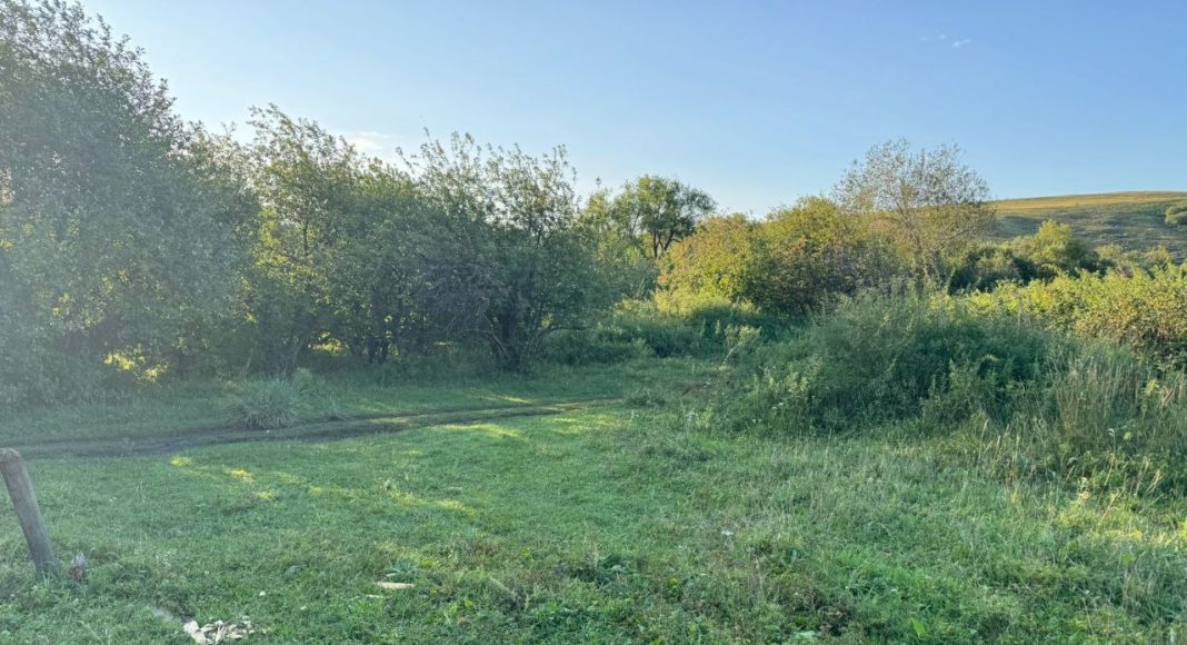 Фото ГСУ СК по РХ