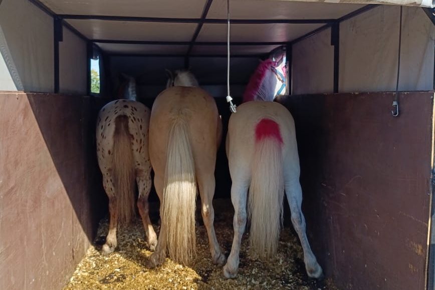 Фото предоставлено пресс-службой Россельхознадзора РХ