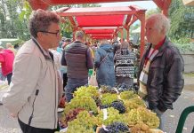 Фото из телеграм-канала Администрации города Саяногорска