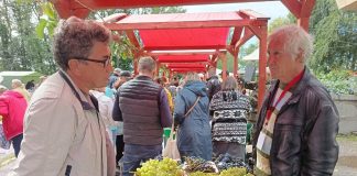 Фото из телеграм-канала Администрации города Саяногорска