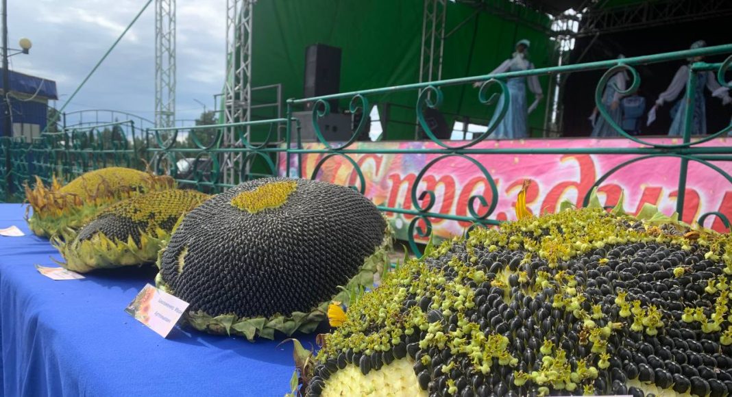 Фото из телеграм-канала Белоногова Василия Васильевича