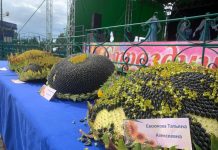 Фото из телеграм-канала Белоногова Василия Васильевича