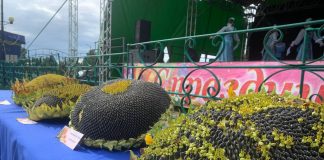 Фото из телеграм-канала Белоногова Василия Васильевича