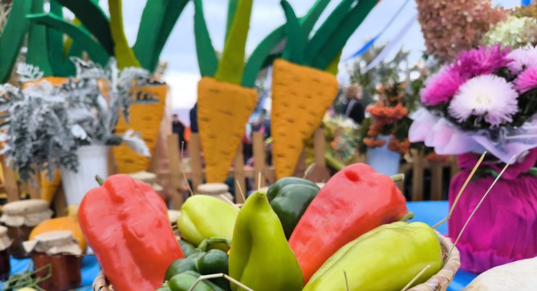 Фото предоставлено правительством Республики Хакасия