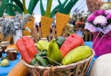 Фото предоставлено правительством Республики Хакасия