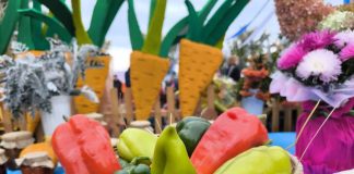 Фото предоставлено правительством Республики Хакасия