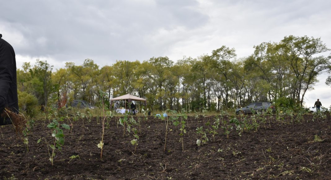 Фото со страницы Минсельхоза РХ