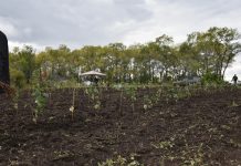 Фото со страницы Минсельхоза РХ