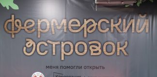 Фото предоставлено пресс-службой центра «Мой бизнес» РХ