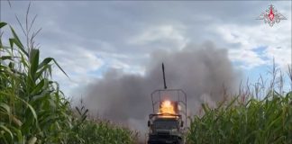 Источник: Минобороны РФ