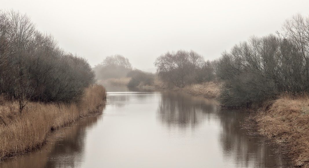 Изображение из фотобанка
