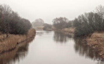 Изображение из фотобанка