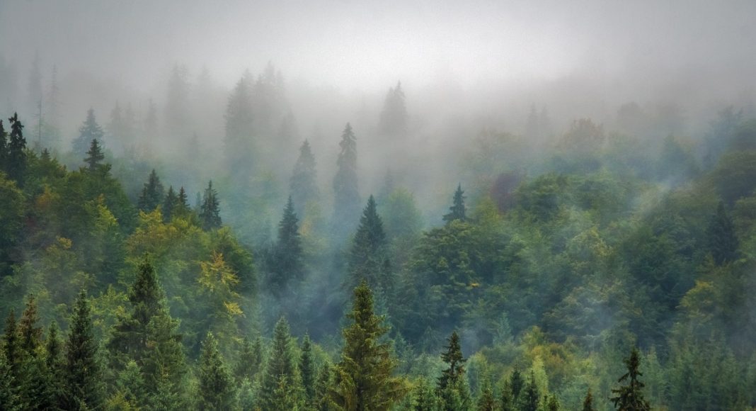 Изображение из фотобанка