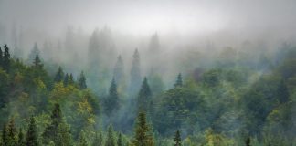 Изображение из фотобанка