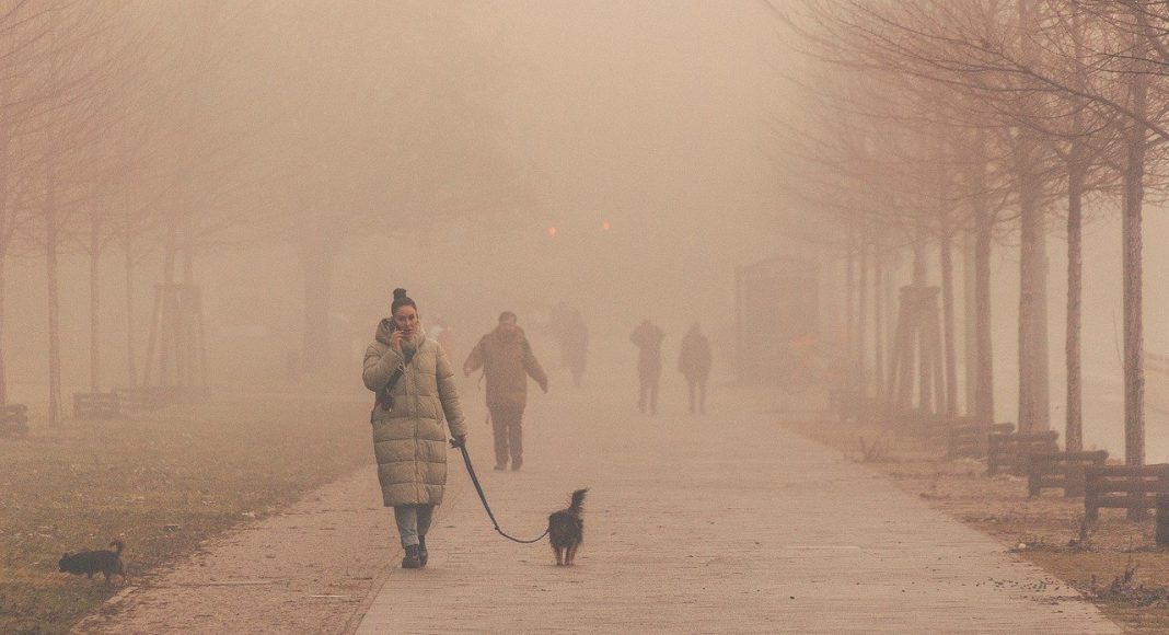 Изображение из фотобанка