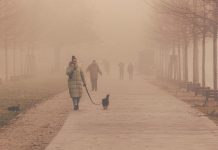 Изображение из фотобанка