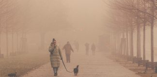 Изображение из фотобанка