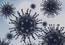 Изображение из фотобанка