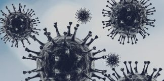 Изображение из фотобанка